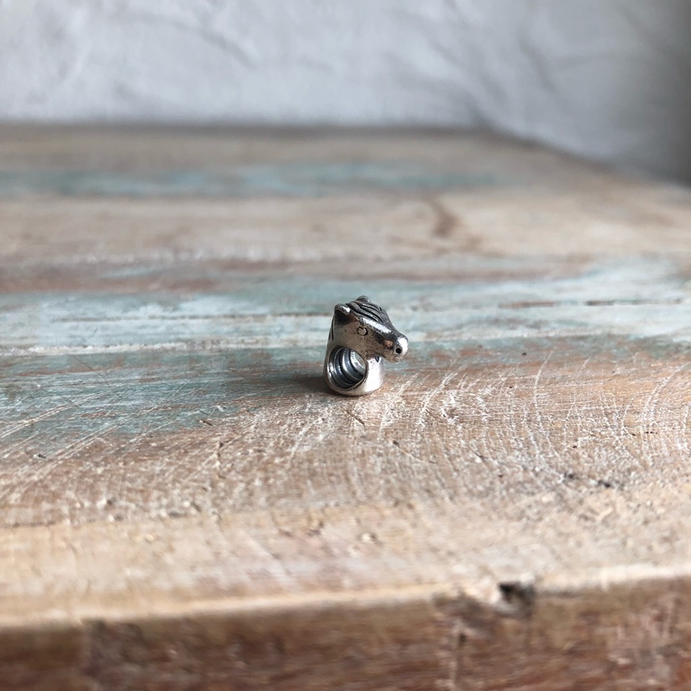 Pandora charm